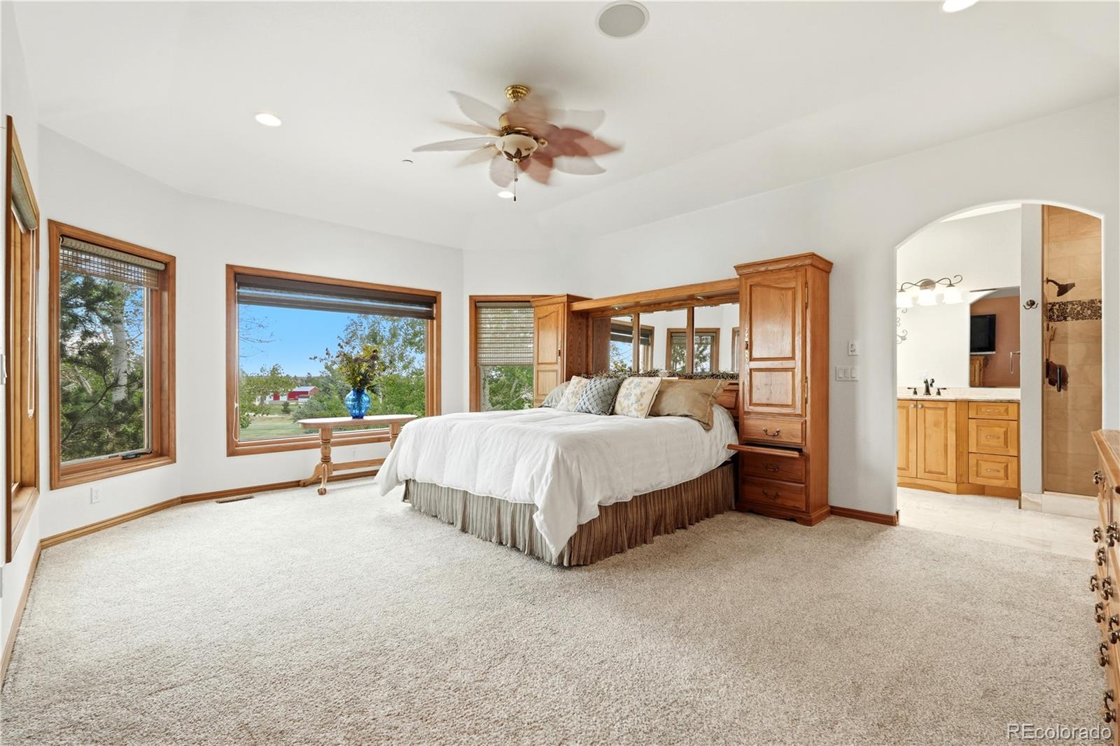 MLS Image #21 for 14870  mariposa court,westminster, Colorado