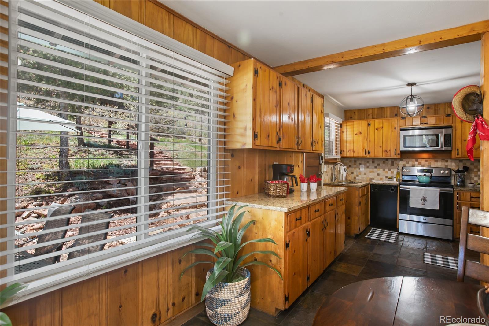 MLS Image #17 for 9850  mohawk trail,cascade, Colorado