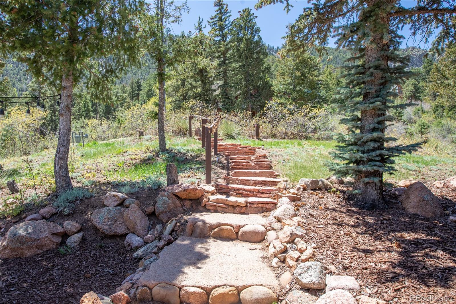 MLS Image #3 for 9850  mohawk trail,cascade, Colorado