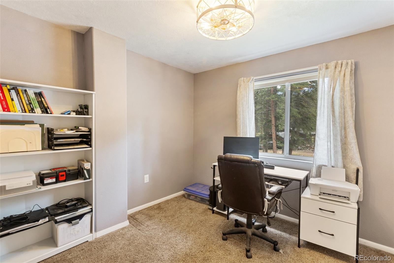 MLS Image #11 for 10  ollie court,woodland park, Colorado