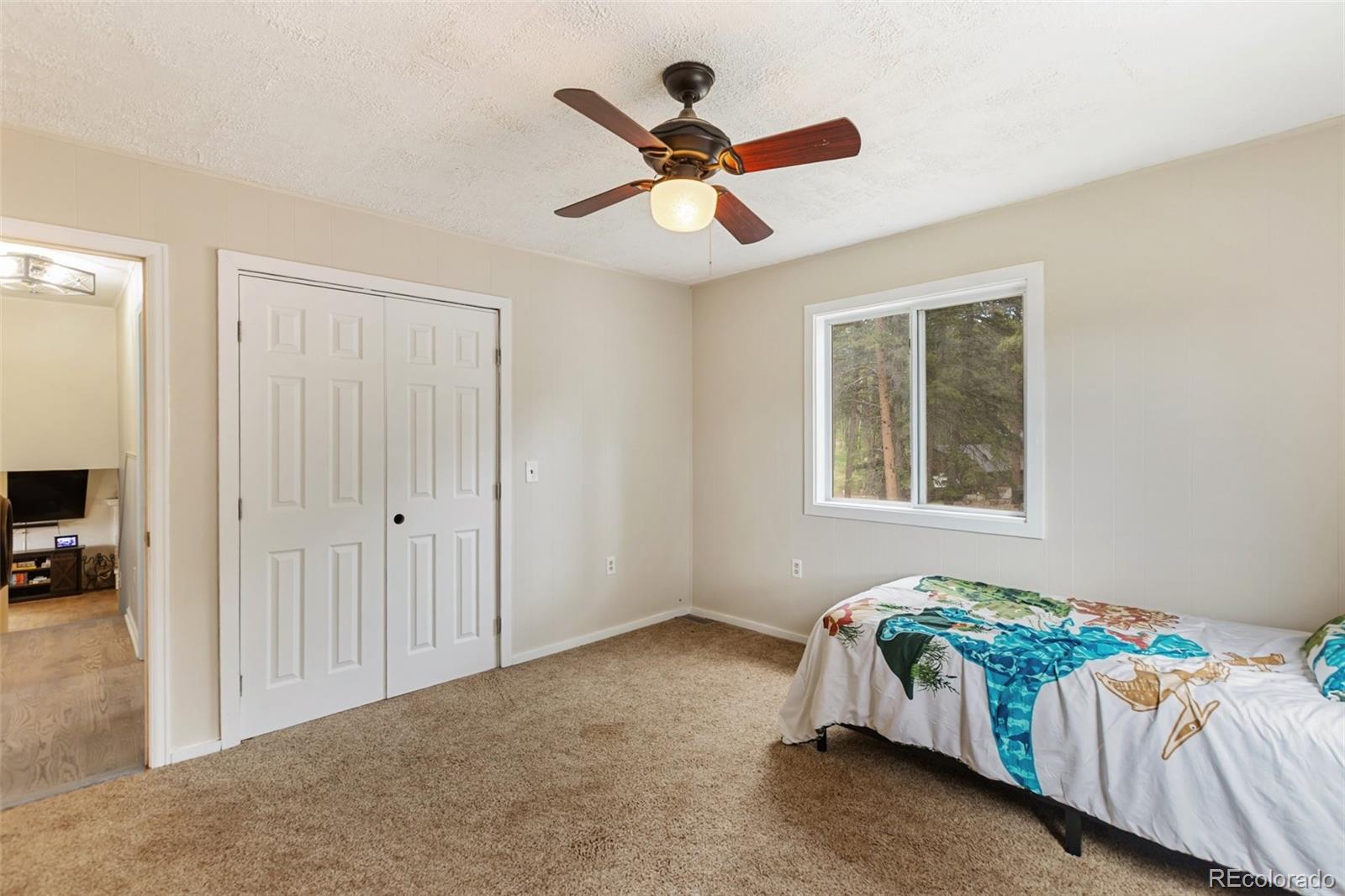 MLS Image #14 for 10  ollie court,woodland park, Colorado