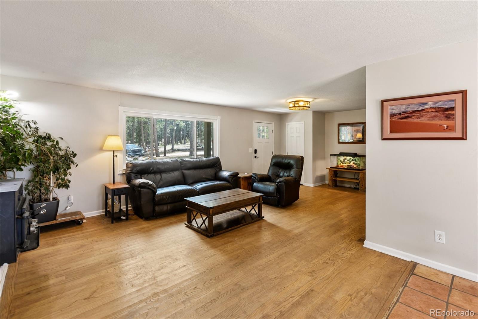 MLS Image #6 for 10  ollie court,woodland park, Colorado