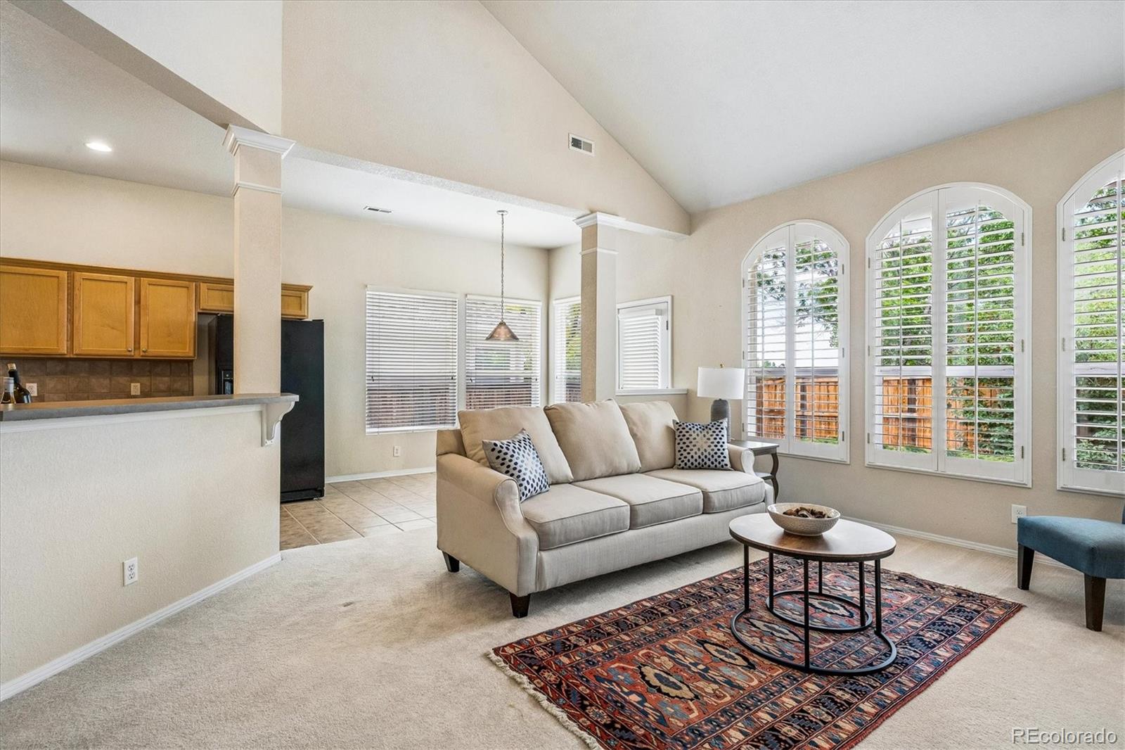 MLS Image #17 for 10019  boca circle,parker, Colorado