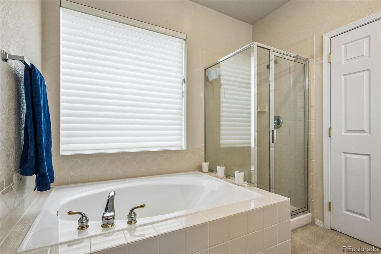 MLS Image #20 for 10019  boca circle,parker, Colorado
