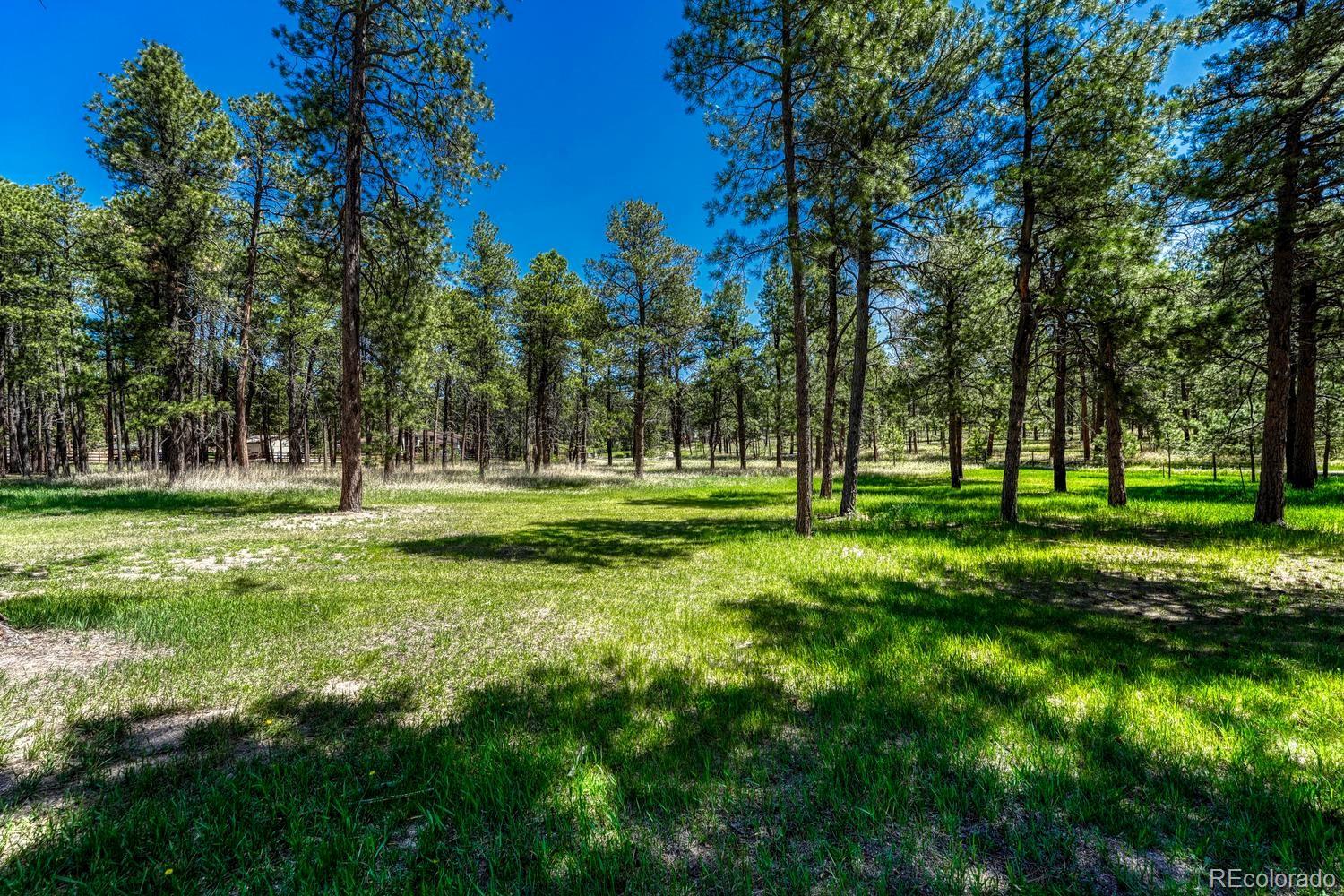 MLS Image #38 for 6350  vessey road,colorado springs, Colorado