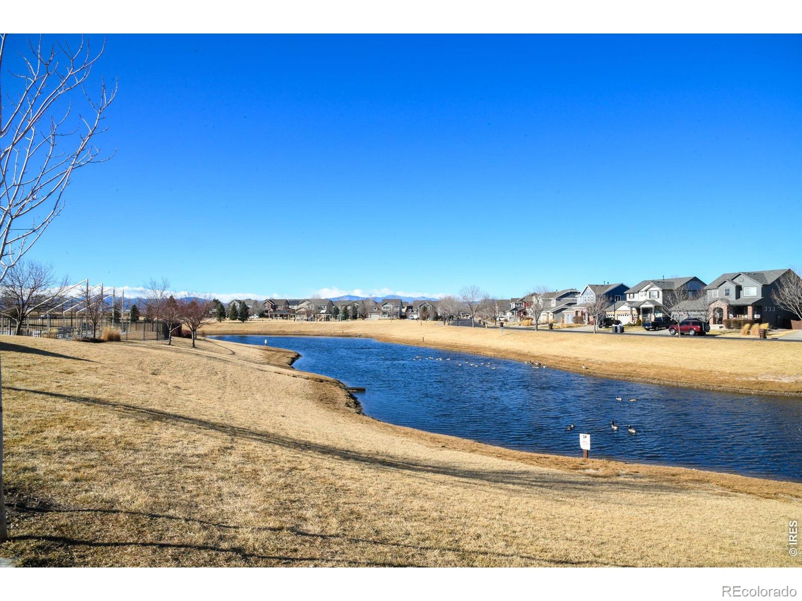 MLS Image #46 for 6770  spring rain road,timnath, Colorado
