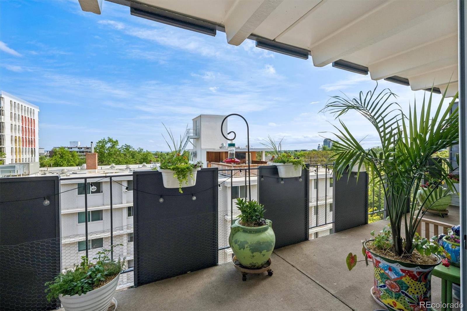 MLS Image #17 for 1265  race street,denver, Colorado