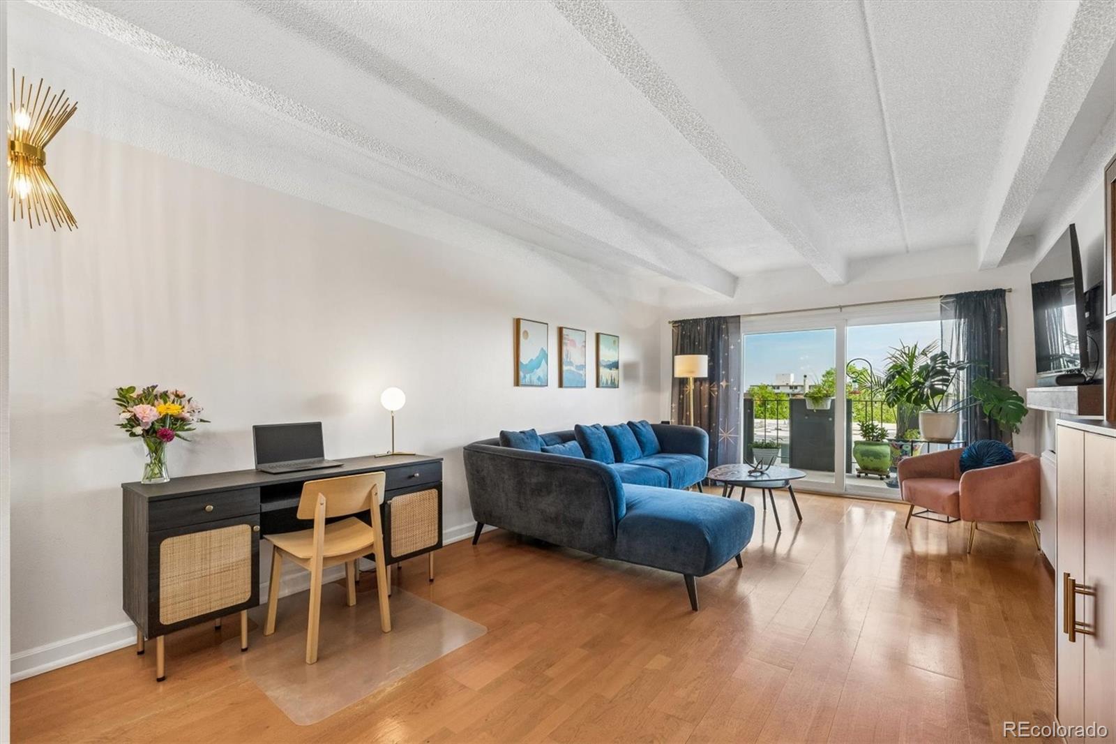 MLS Image #4 for 1265  race street,denver, Colorado