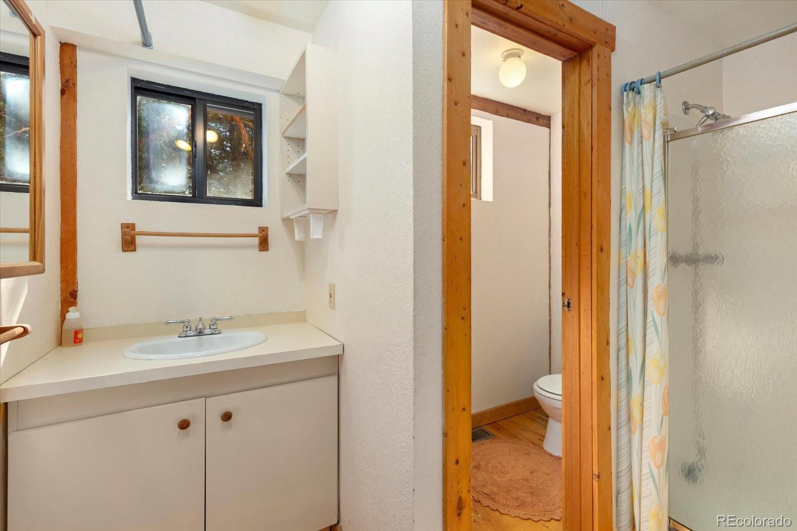 MLS Image #19 for 1689  columbine overlook,crestone, Colorado