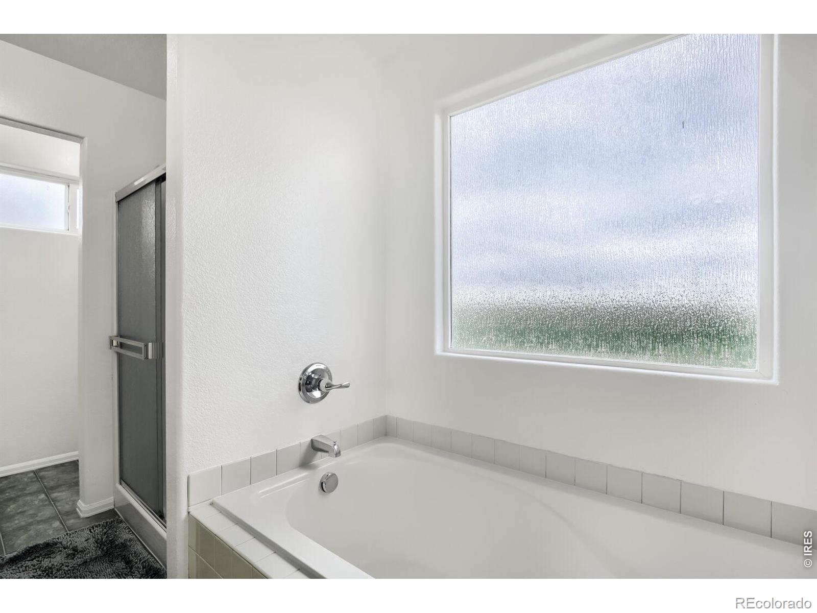 MLS Image #15 for 2402  thoreau drive,fort collins, Colorado