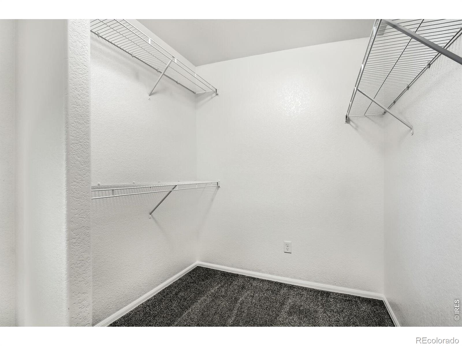 MLS Image #19 for 2402  thoreau drive,fort collins, Colorado