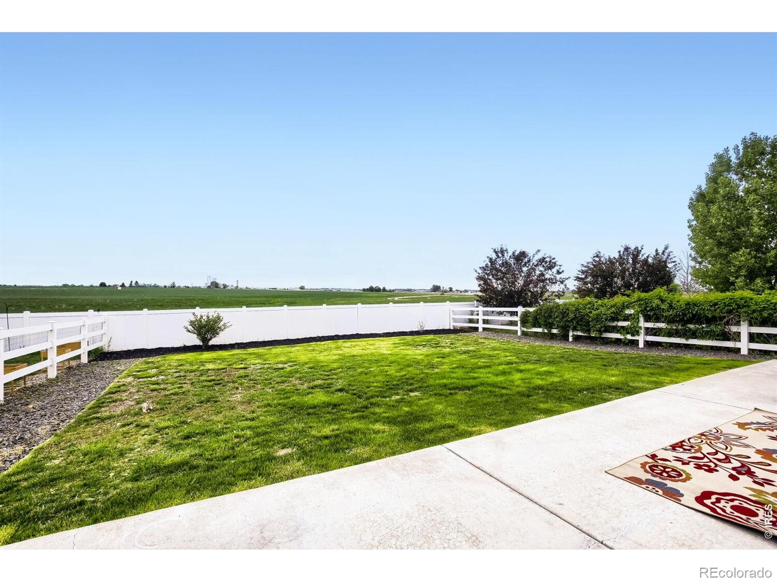 MLS Image #22 for 2402  thoreau drive,fort collins, Colorado