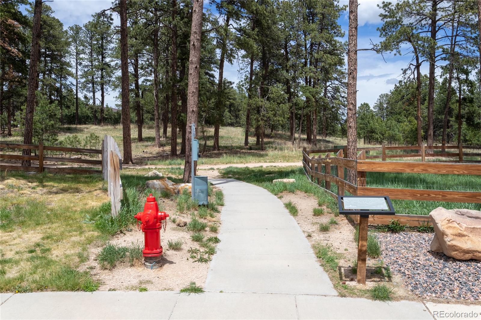 MLS Image #37 for 1678  lazy cat lane ,monument, Colorado