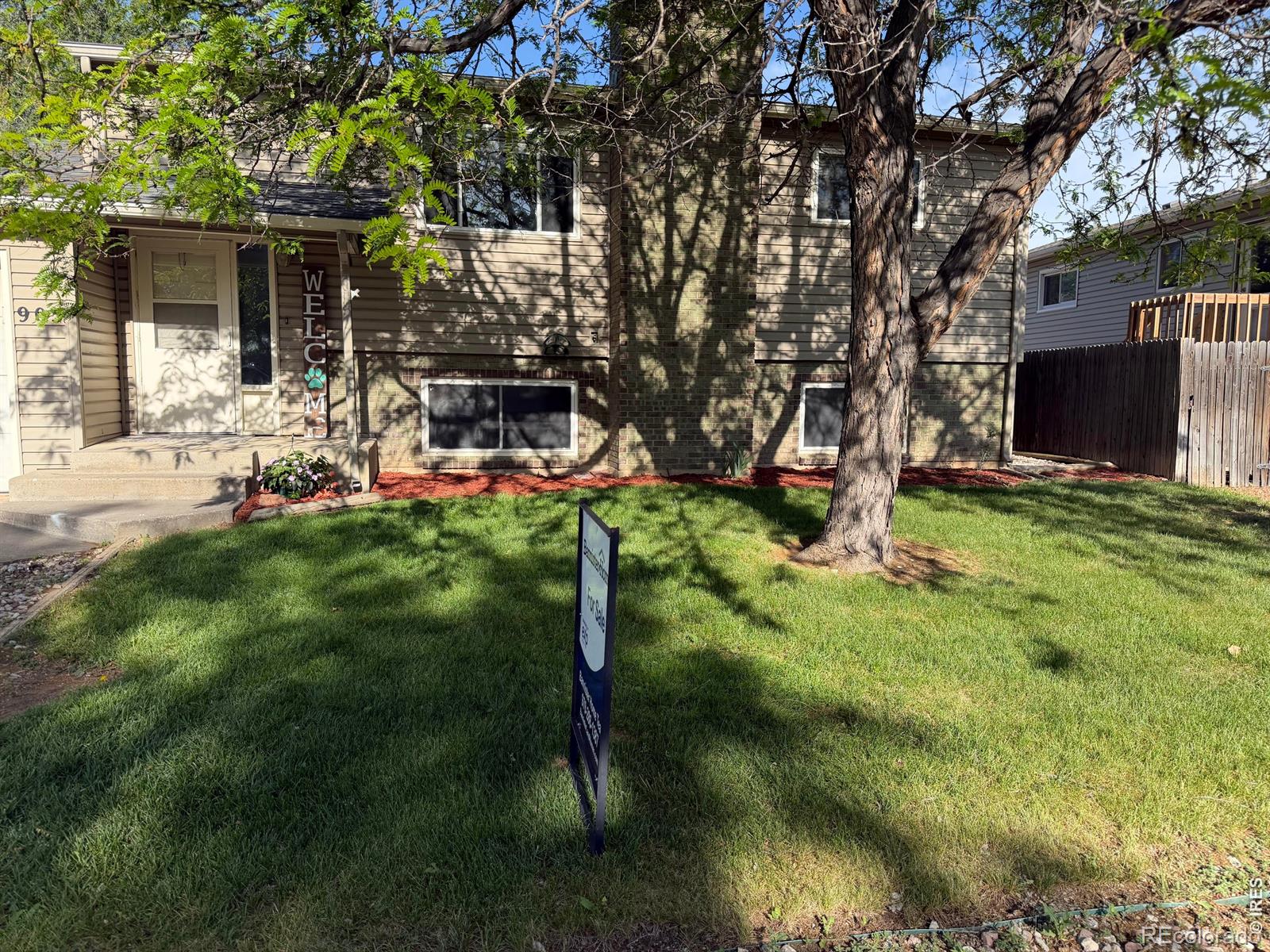 MLS Image #0 for 905  woodbine drive,windsor, Colorado