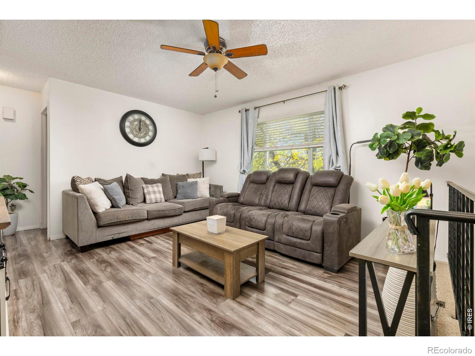 MLS Image #1 for 905  woodbine drive,windsor, Colorado