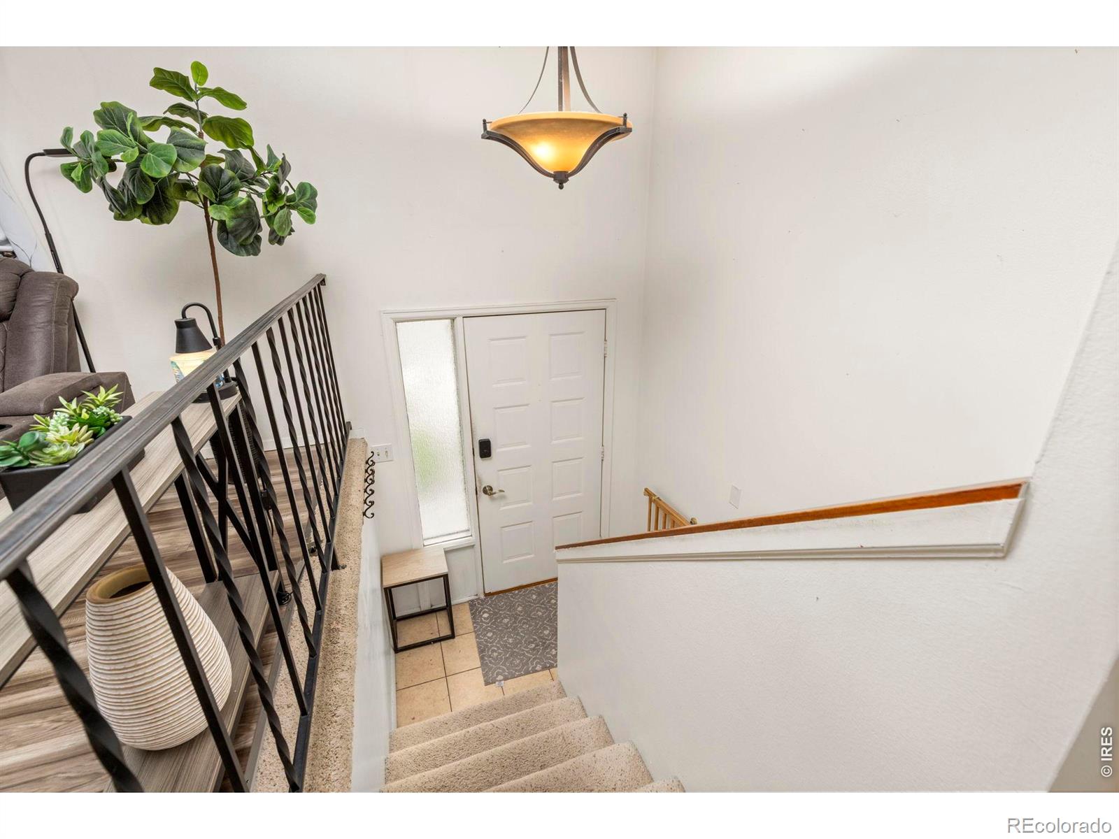 MLS Image #10 for 905  woodbine drive,windsor, Colorado
