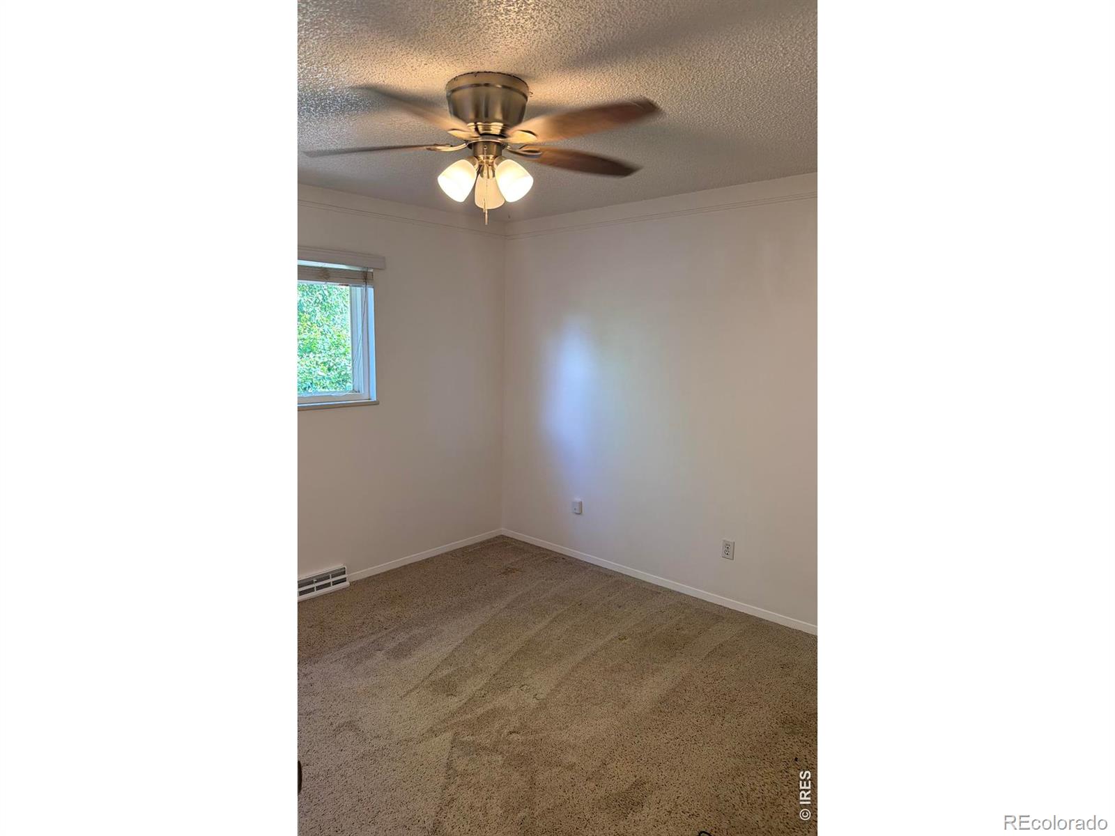 MLS Image #16 for 905  woodbine drive,windsor, Colorado