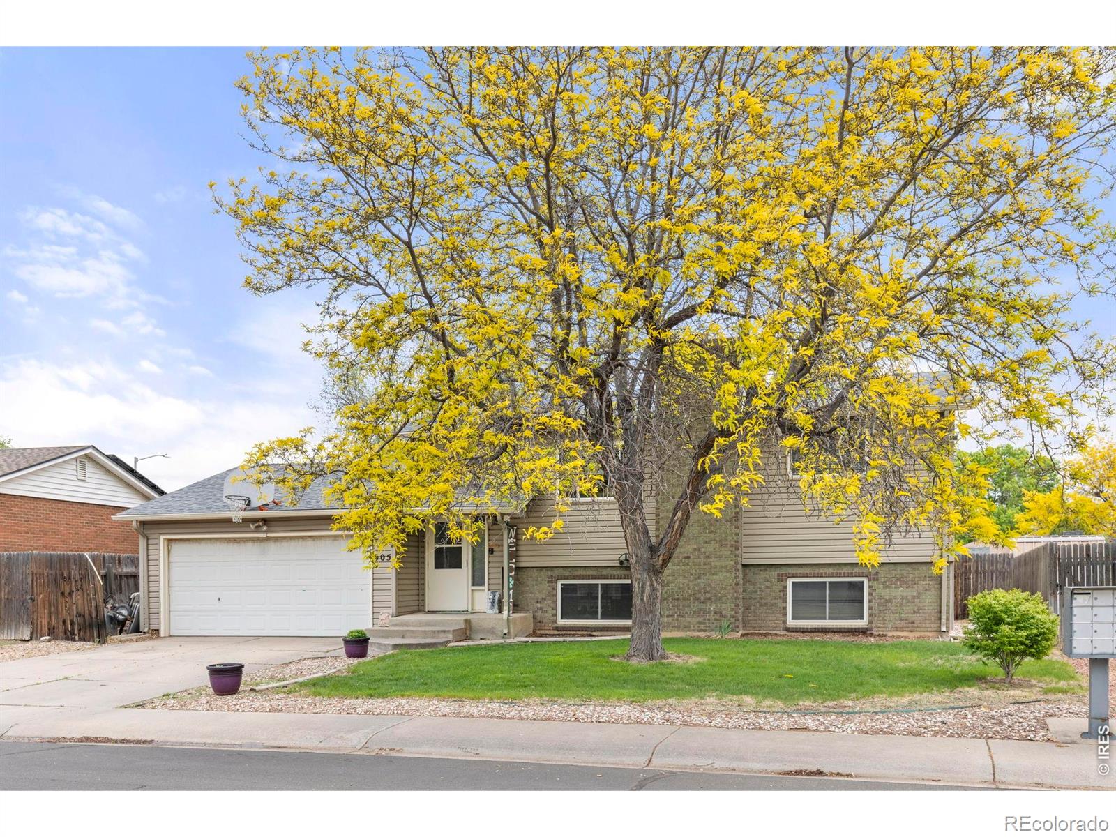 MLS Image #24 for 905  woodbine drive,windsor, Colorado