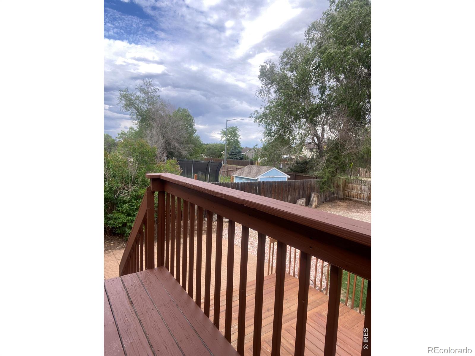 MLS Image #27 for 905  woodbine drive,windsor, Colorado