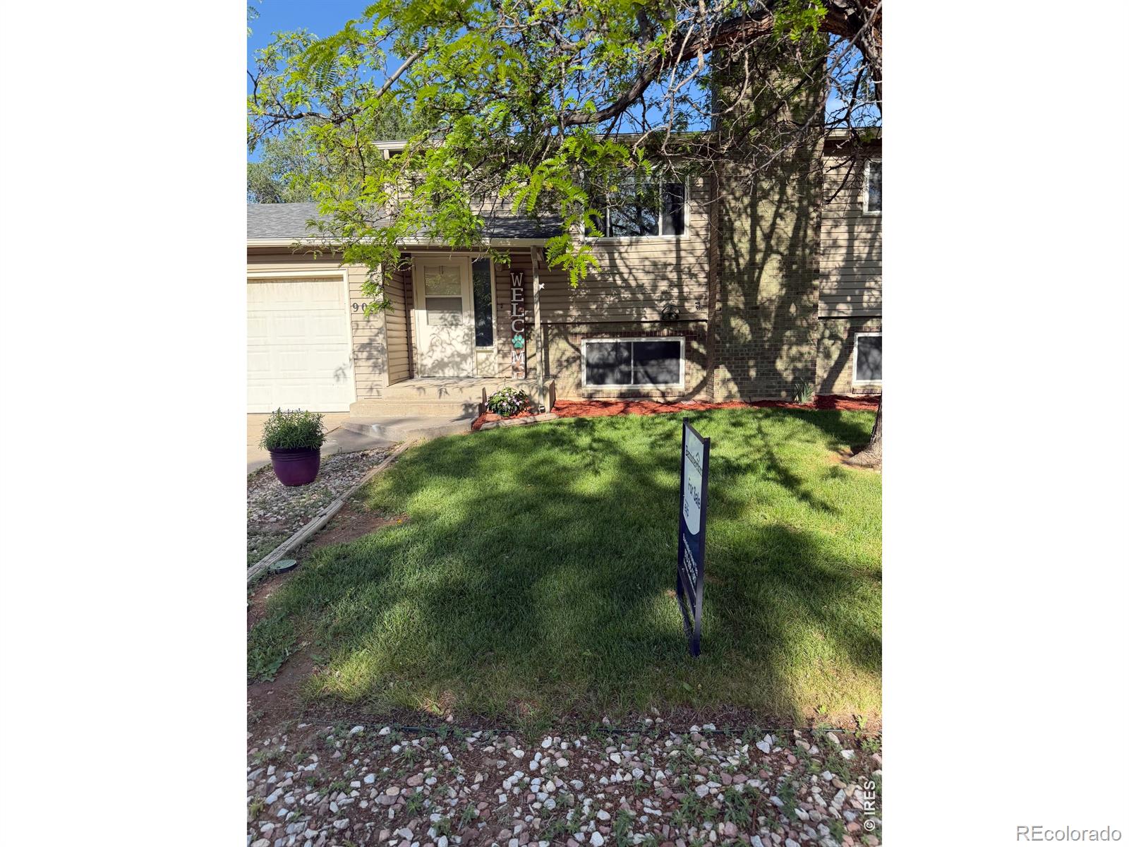 MLS Image #29 for 905  woodbine drive,windsor, Colorado