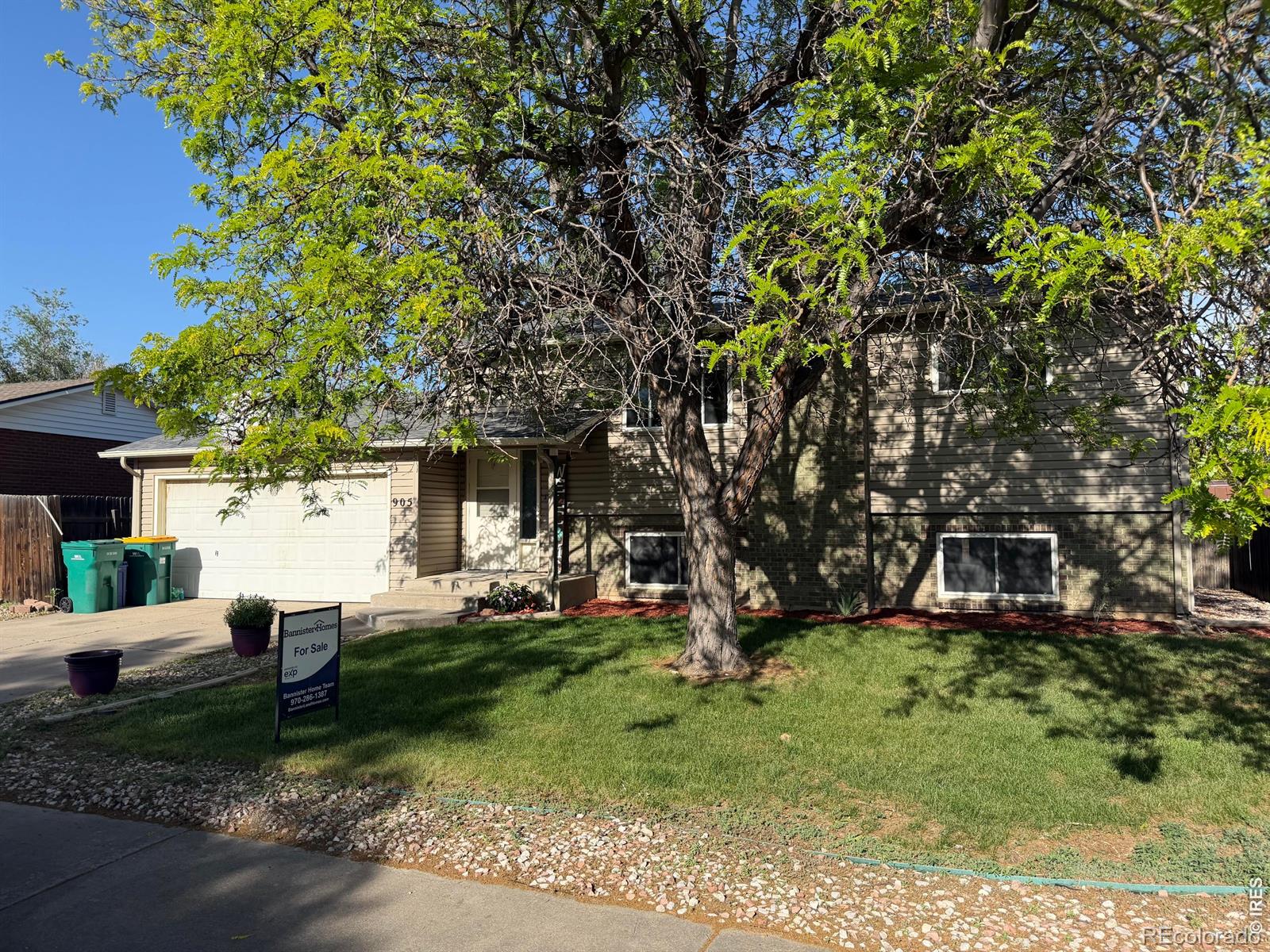 MLS Image #30 for 905  woodbine drive,windsor, Colorado