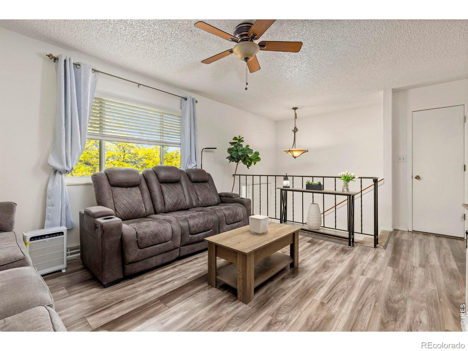 MLS Image #6 for 905  woodbine drive,windsor, Colorado