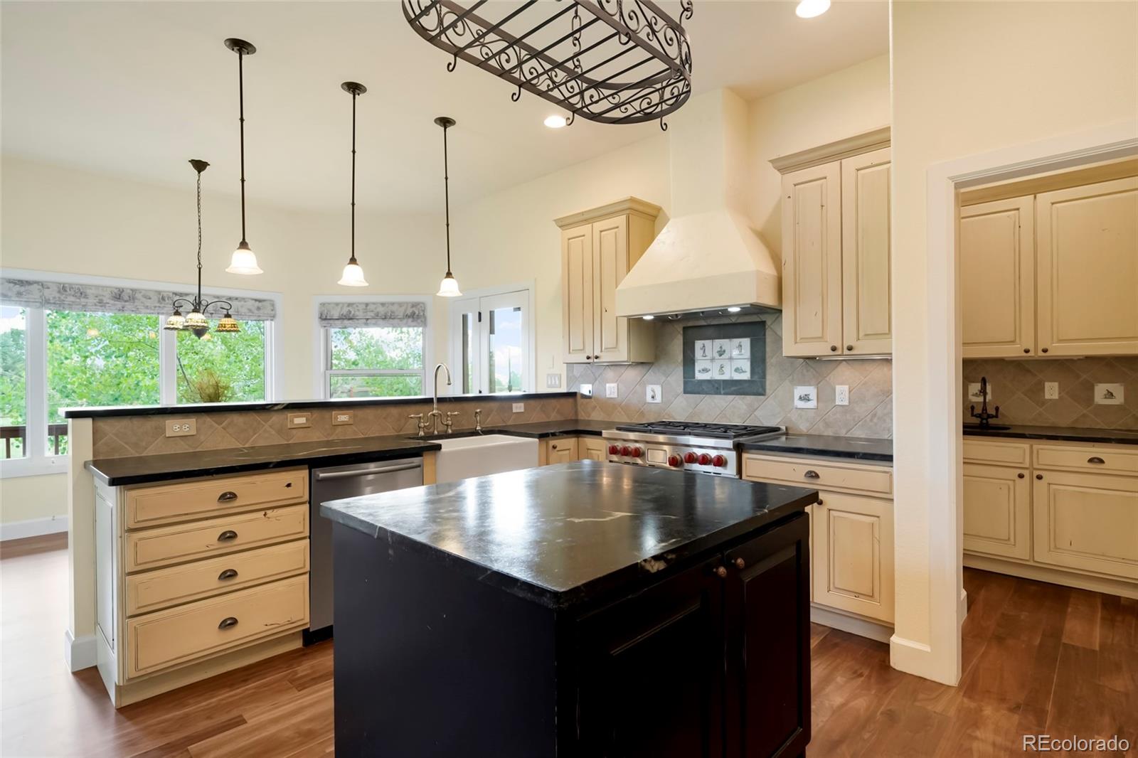 MLS Image #10 for 387  crossing circle,castle pines, Colorado
