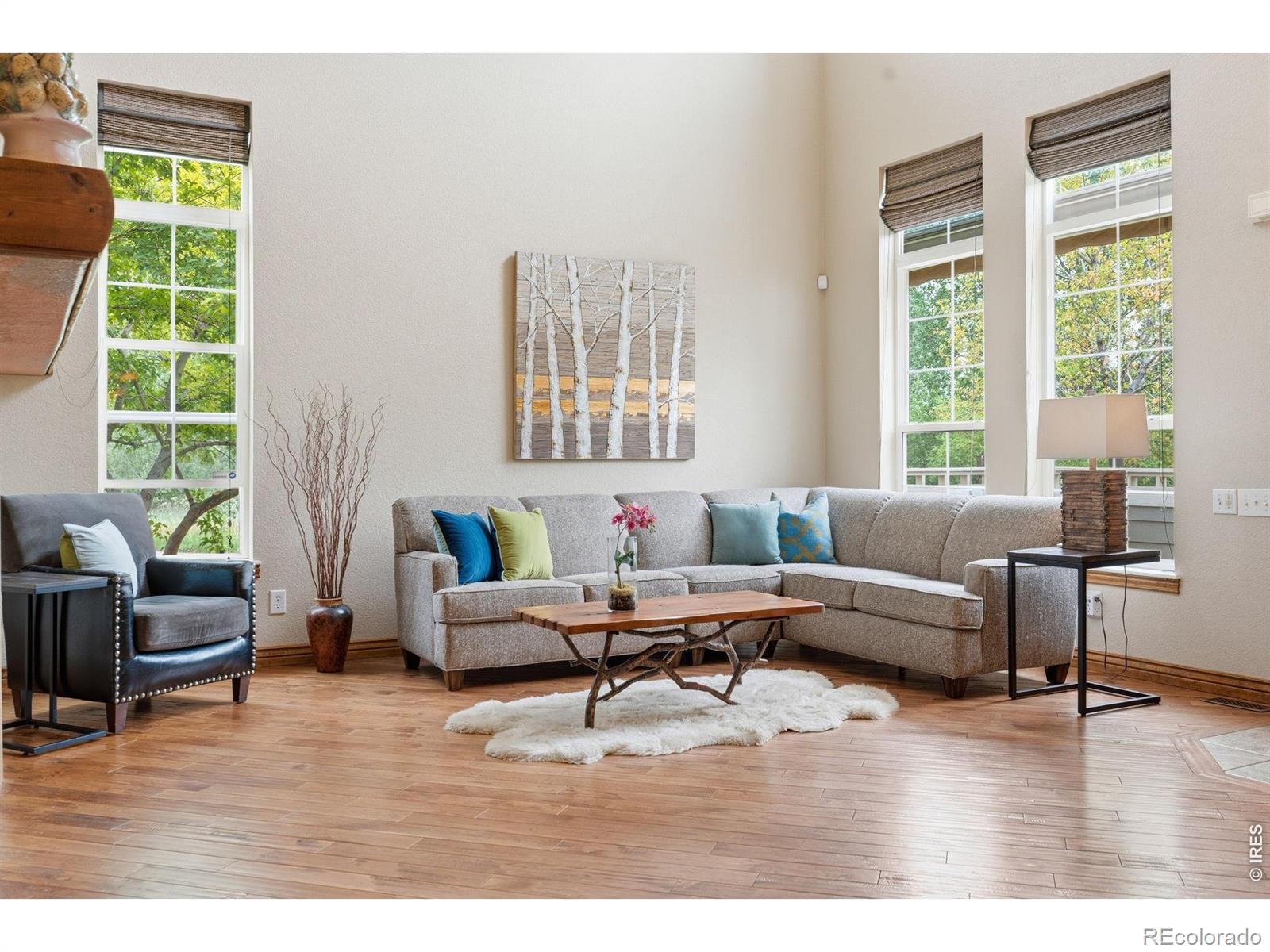 MLS Image #21 for 5408  old mill road,fort collins, Colorado