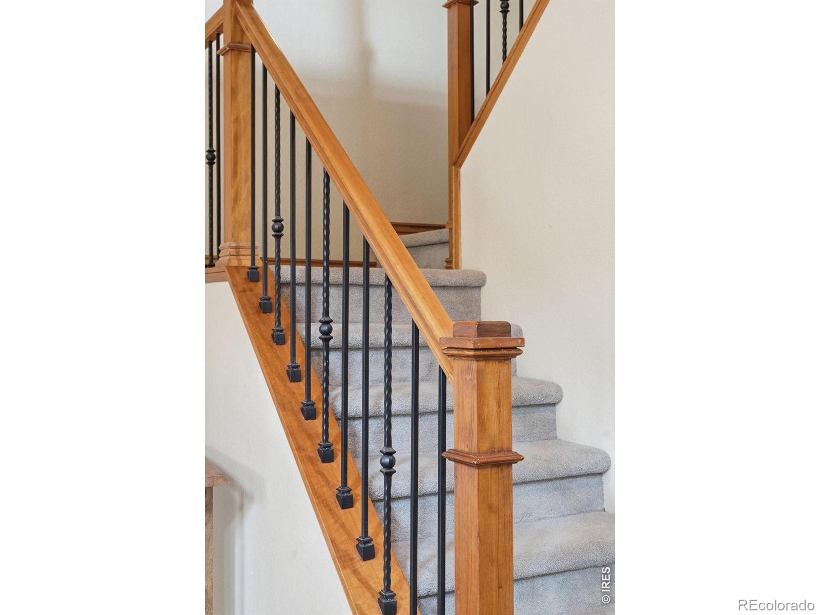 MLS Image #25 for 5408  old mill road,fort collins, Colorado
