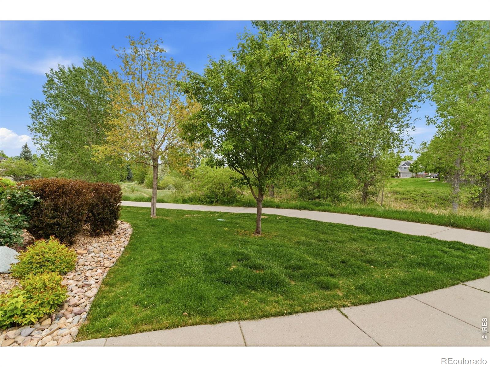 MLS Image #3 for 5408  old mill road,fort collins, Colorado