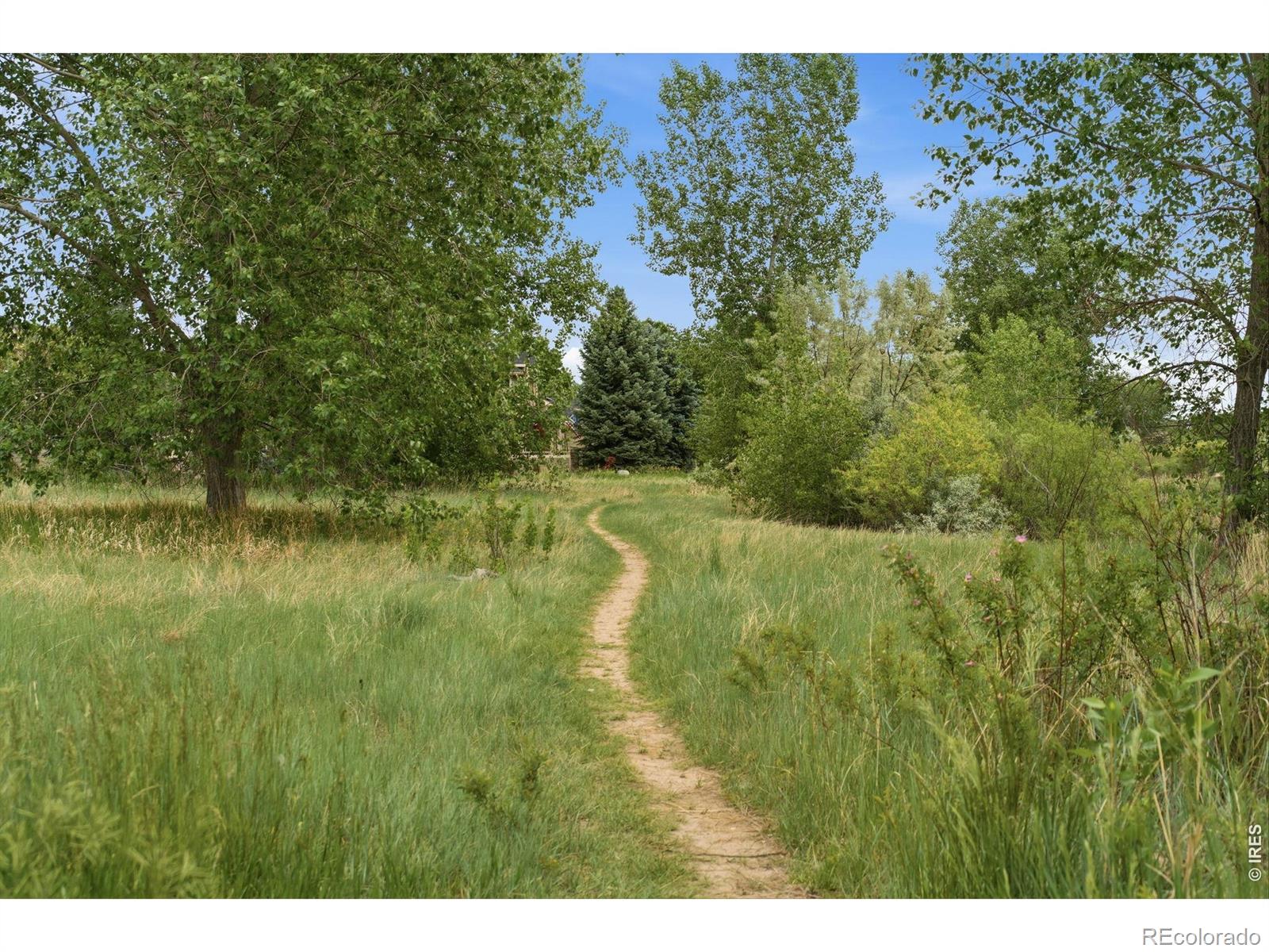 MLS Image #5 for 5408  old mill road,fort collins, Colorado