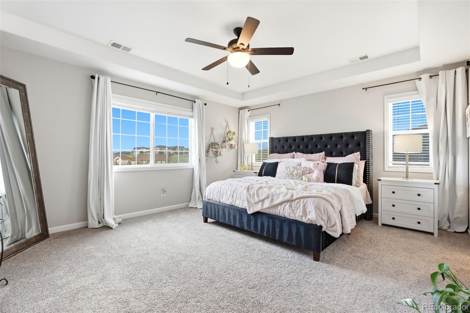 MLS Image #21 for 2900  rising moon way,castle rock, Colorado
