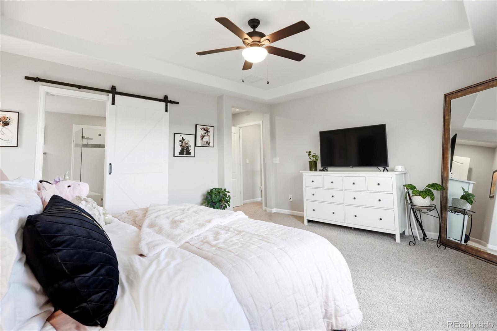 MLS Image #22 for 2900  rising moon way,castle rock, Colorado