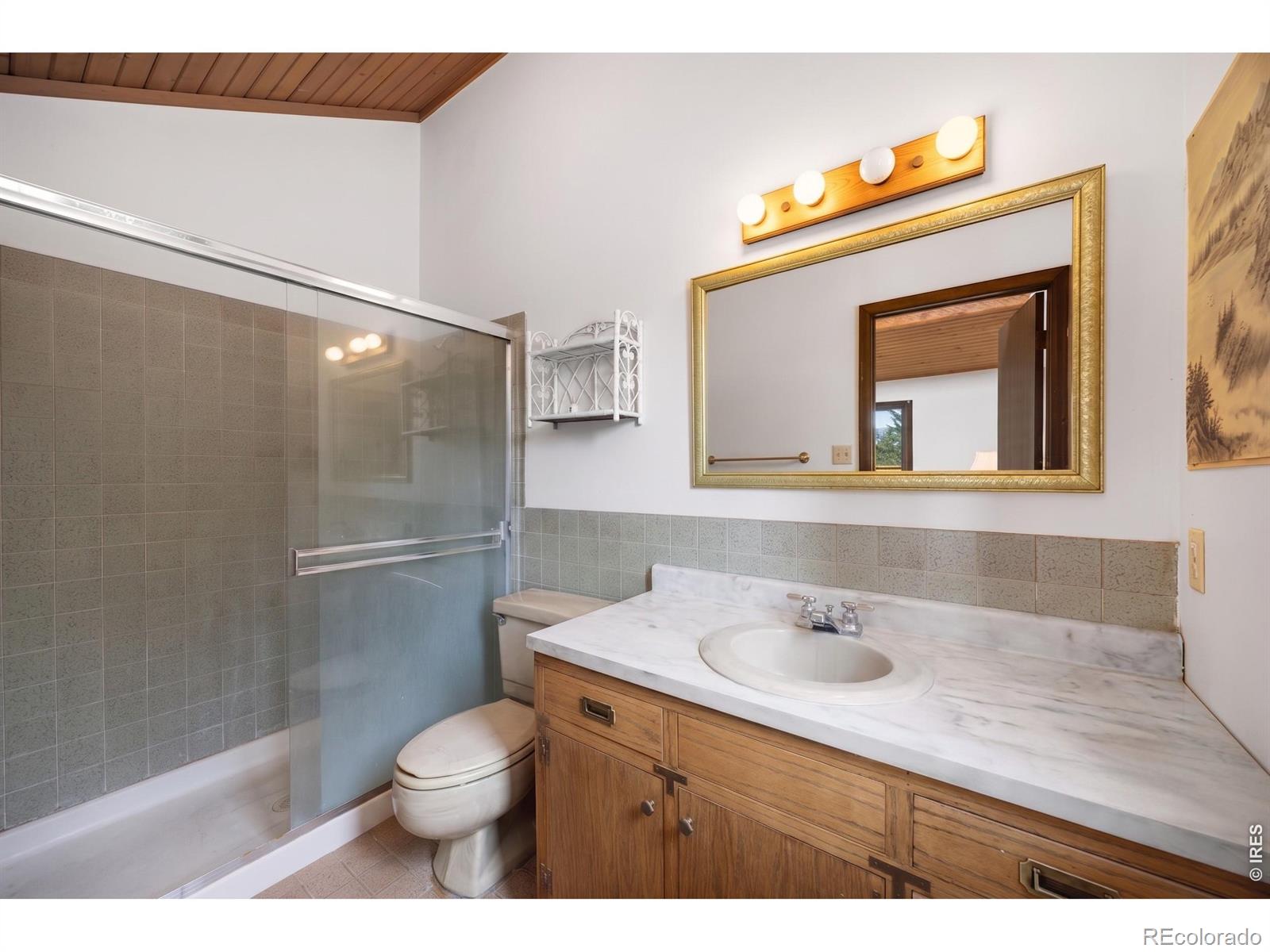 MLS Image #18 for 33173  deep forest road,evergreen, Colorado