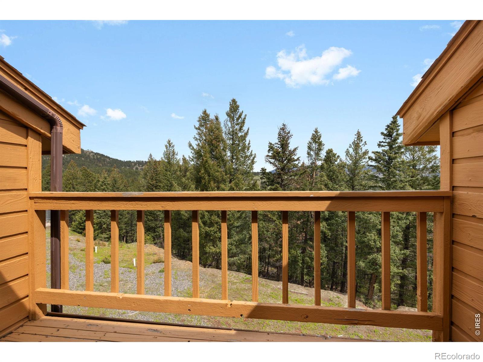 MLS Image #19 for 33173  deep forest road,evergreen, Colorado