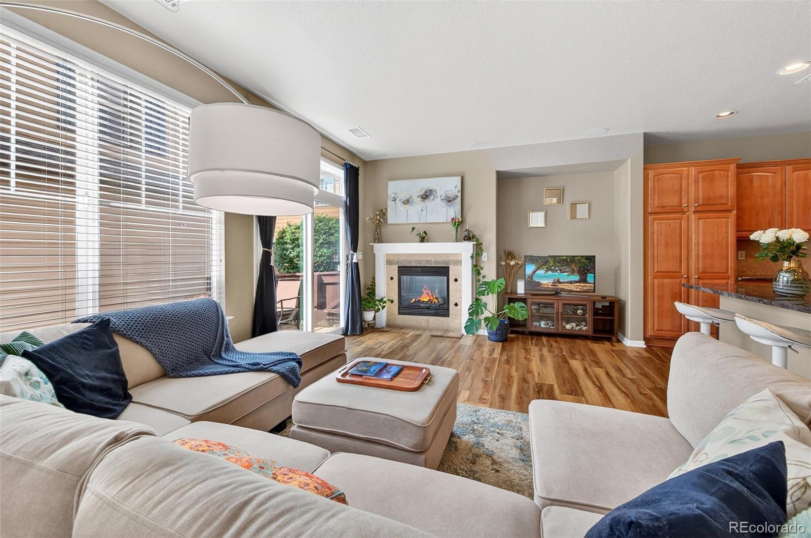 MLS Image #11 for 10648  ashfield street,highlands ranch, Colorado