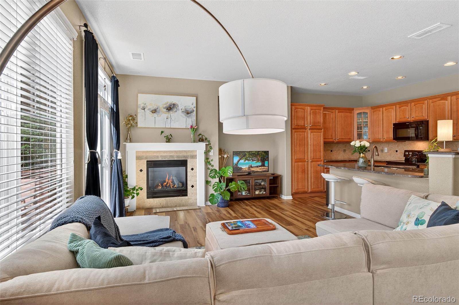 MLS Image #12 for 10648  ashfield street,highlands ranch, Colorado