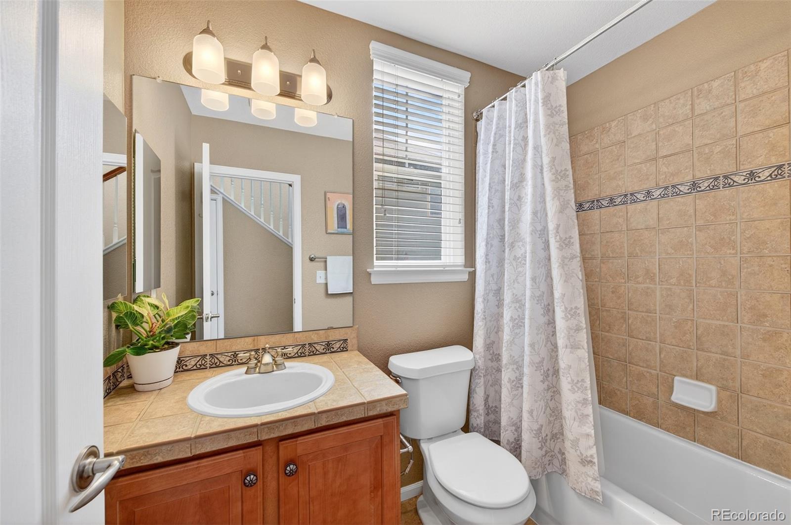 MLS Image #18 for 10648  ashfield street,highlands ranch, Colorado