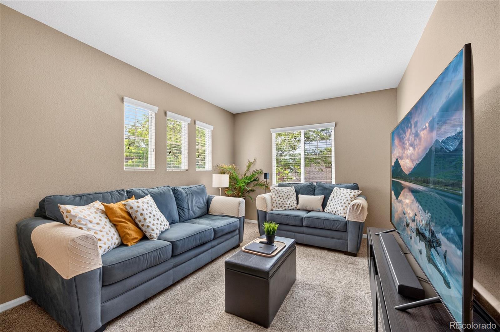 MLS Image #20 for 10648  ashfield street,highlands ranch, Colorado