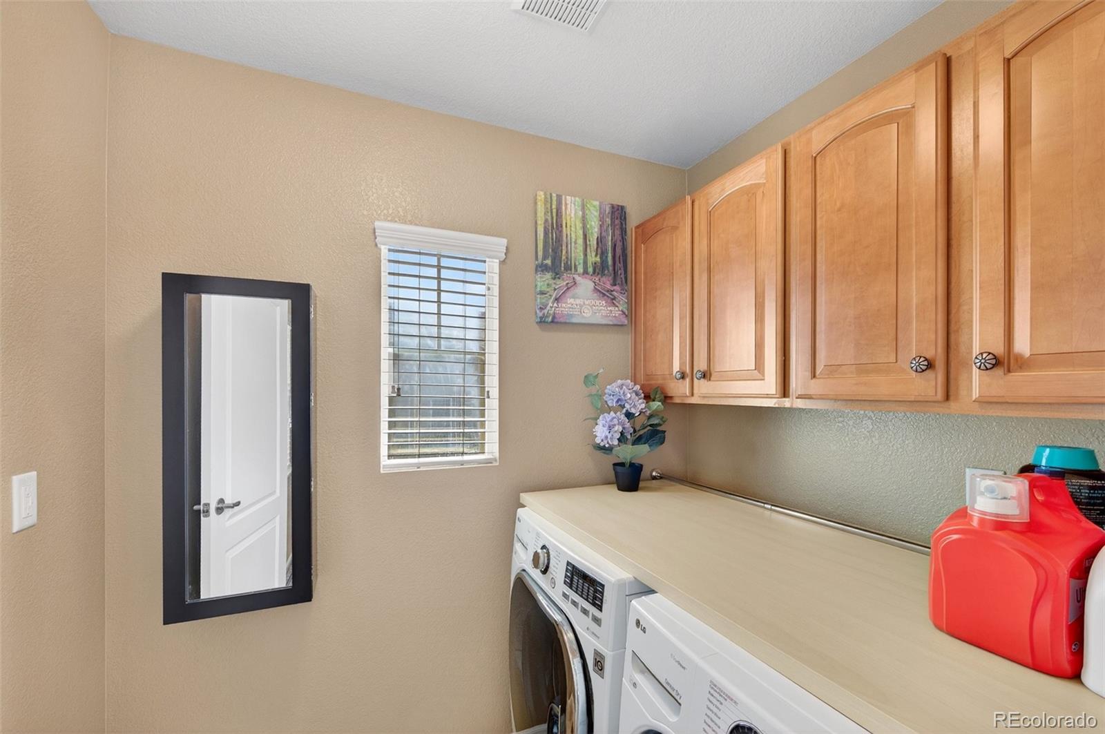 MLS Image #32 for 10648  ashfield street,highlands ranch, Colorado