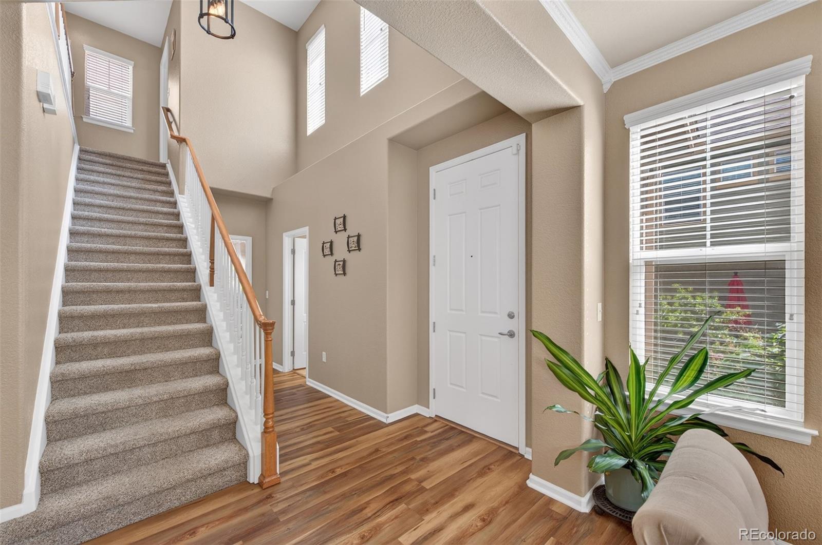 MLS Image #4 for 10648  ashfield street,highlands ranch, Colorado