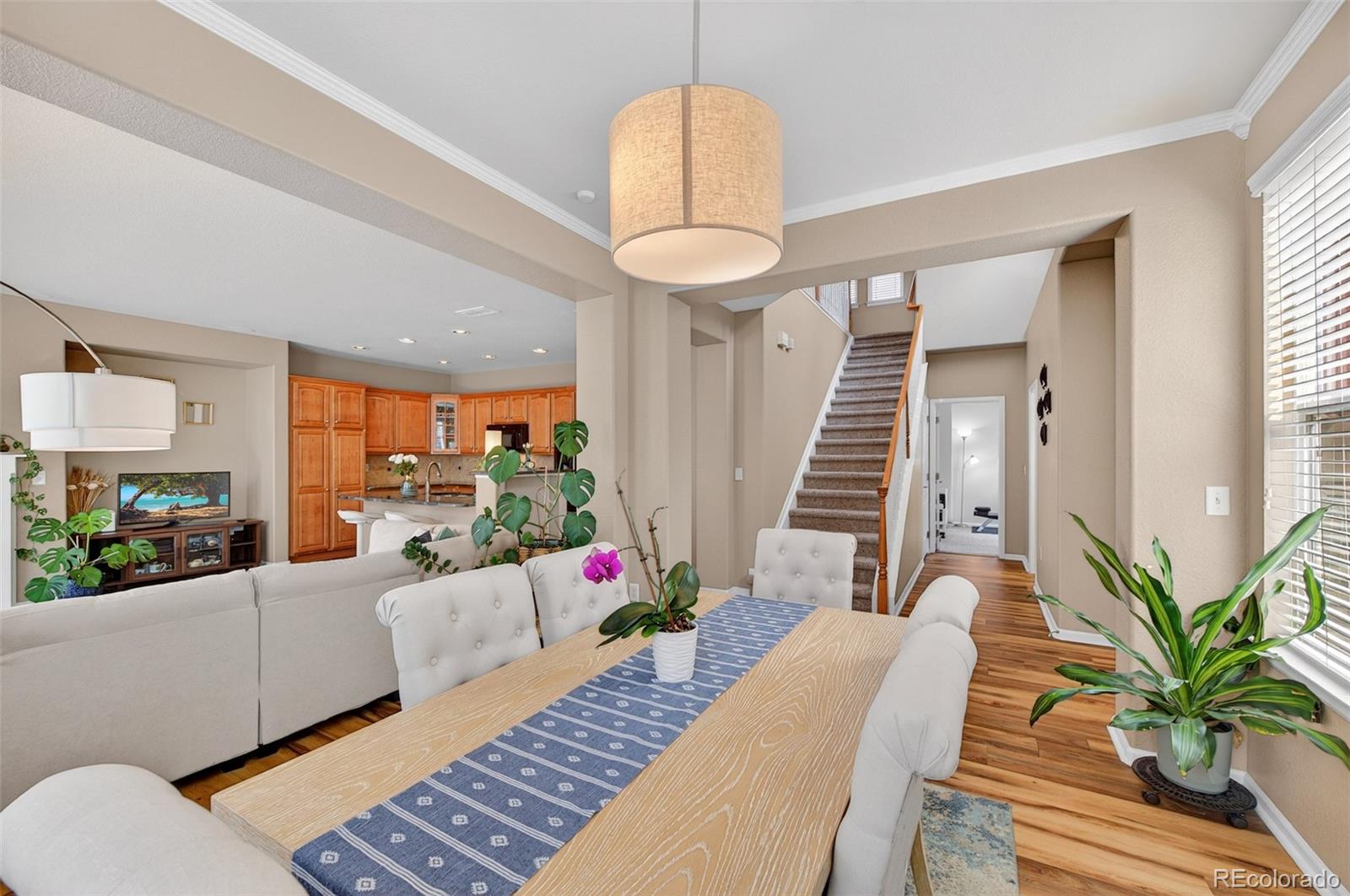 MLS Image #6 for 10648  ashfield street,highlands ranch, Colorado