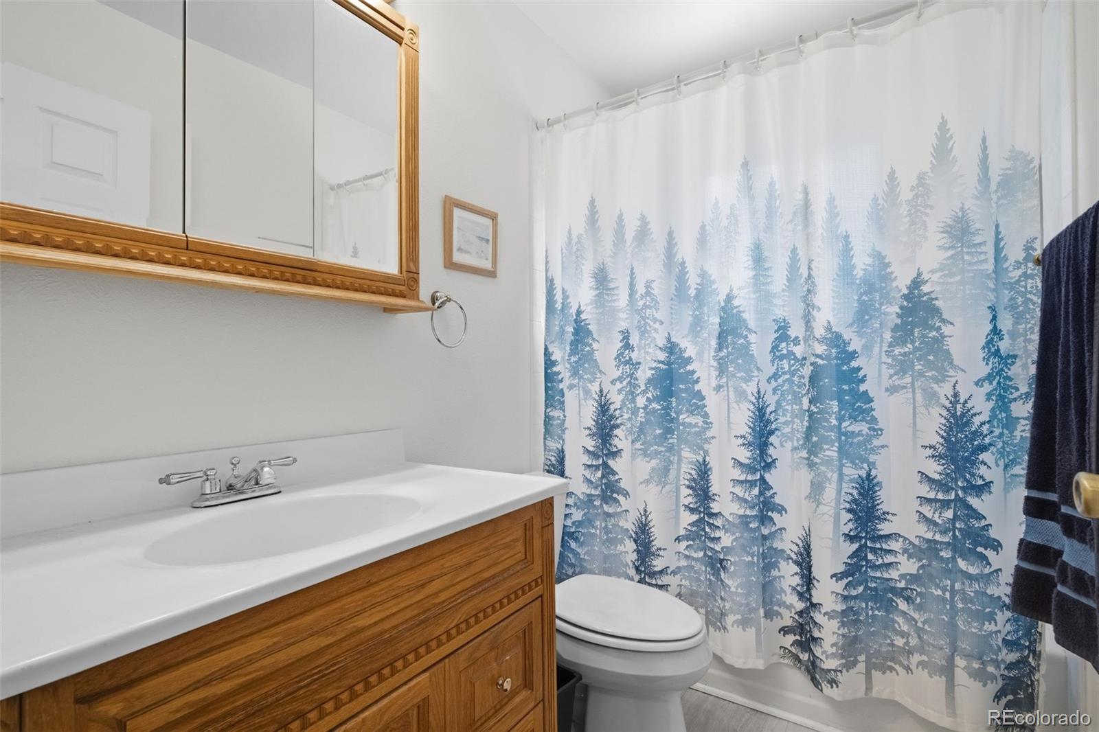 MLS Image #9 for 10712  pierson street,broomfield, Colorado