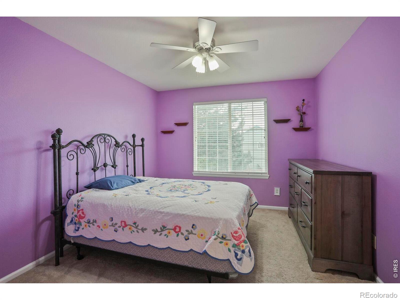 MLS Image #16 for 1115  button rock drive,longmont, Colorado