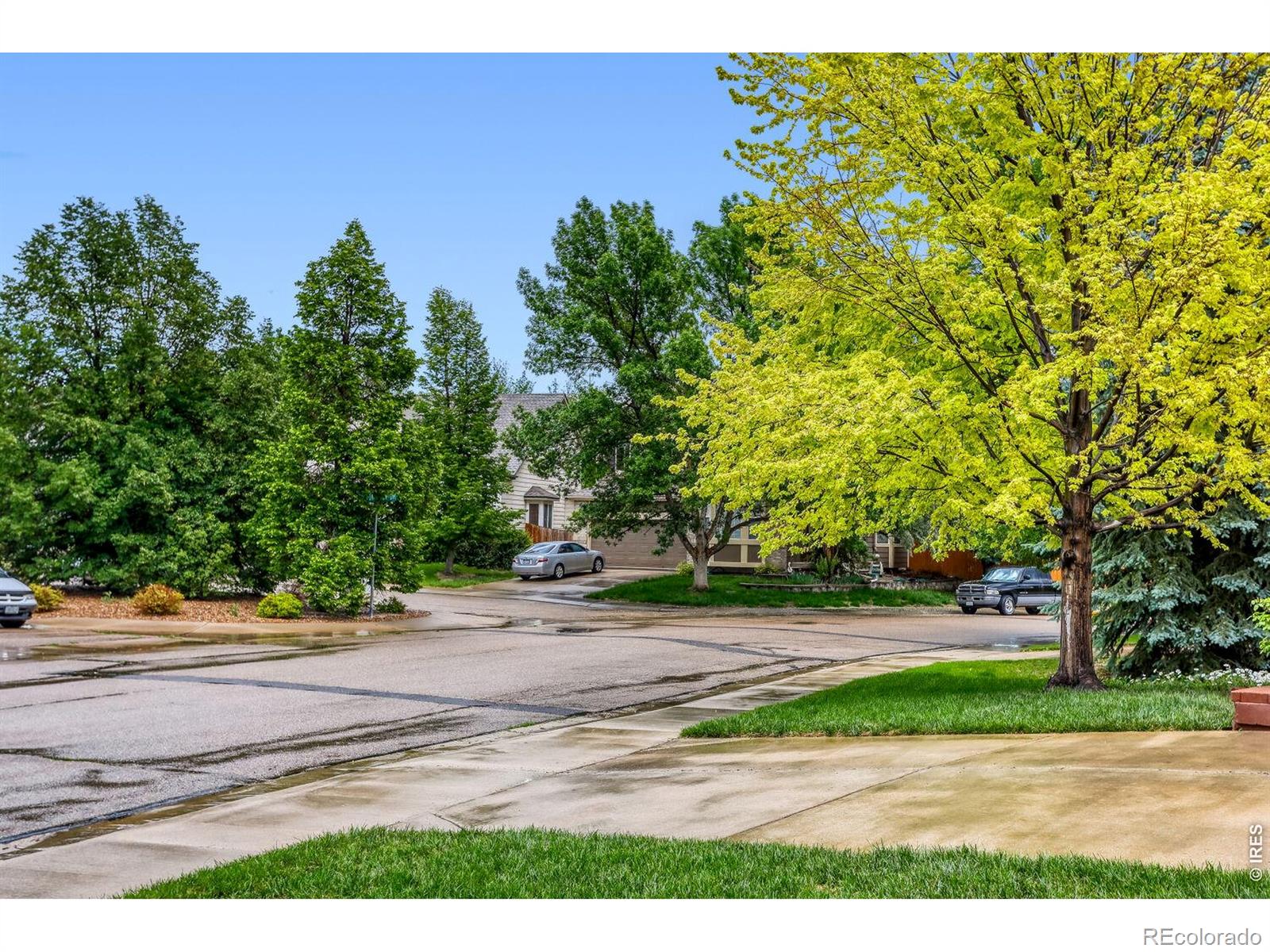 MLS Image #3 for 1115  button rock drive,longmont, Colorado