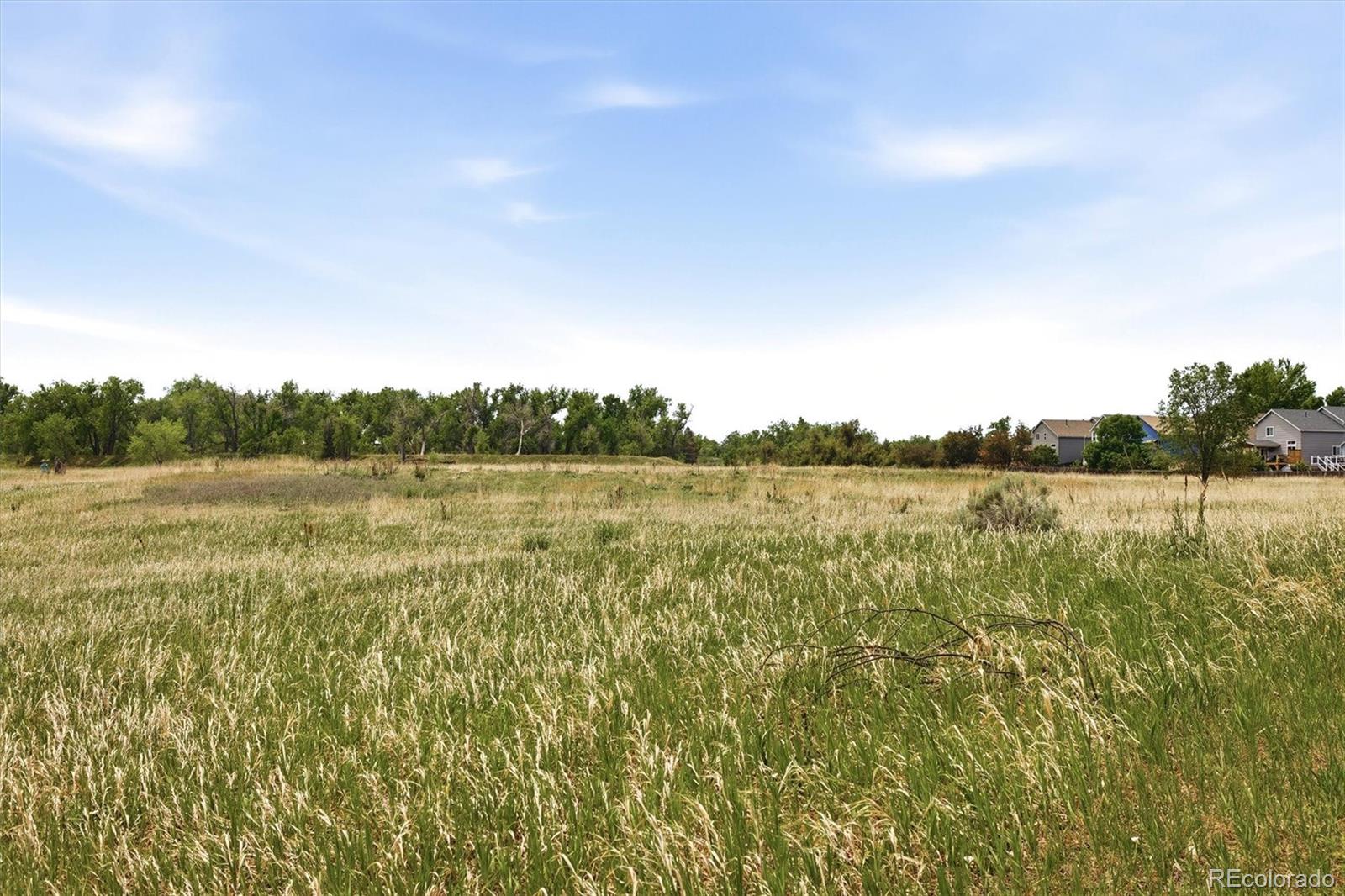 MLS Image #43 for 6410 w 98th court,westminster, Colorado