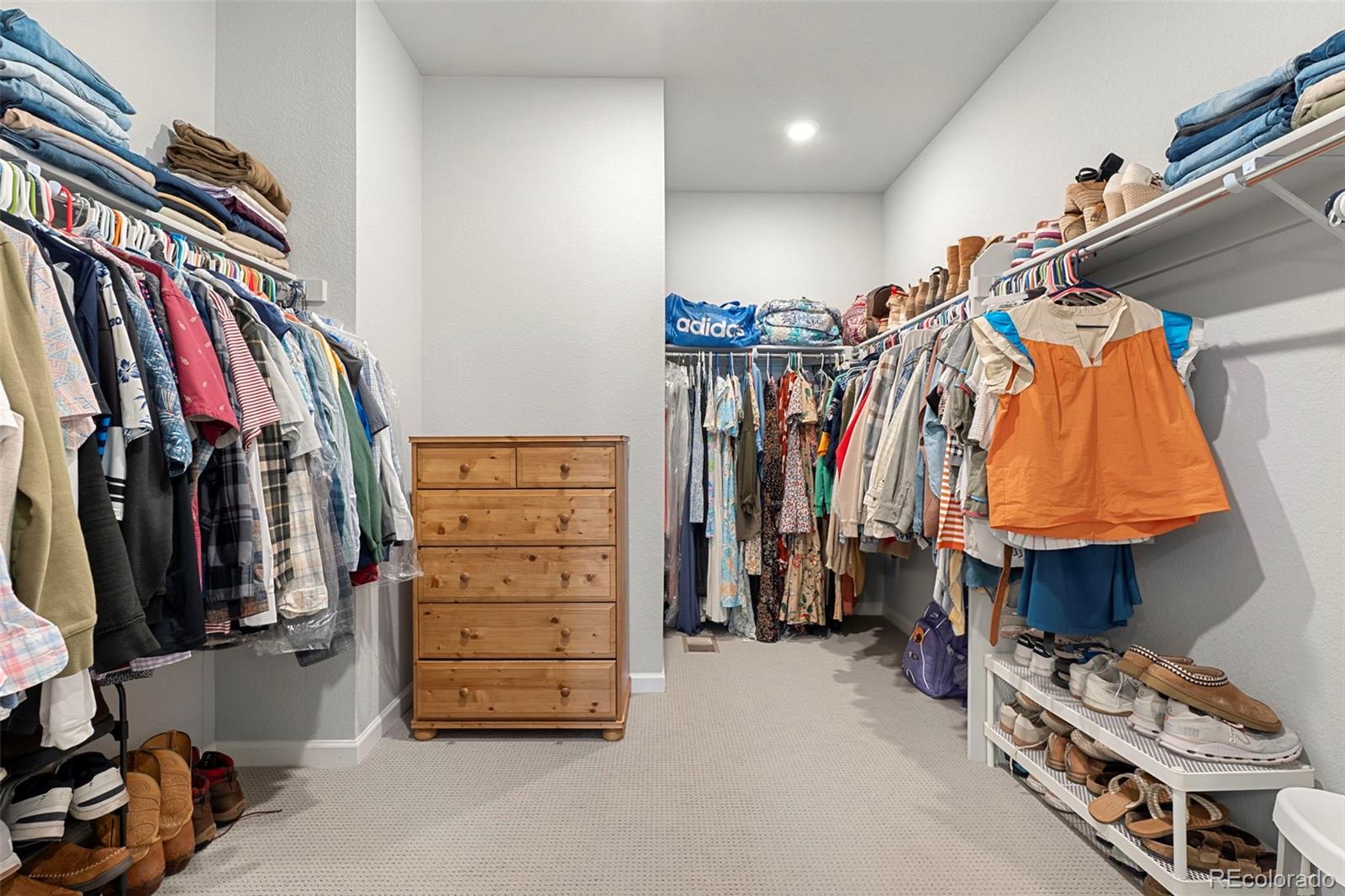 MLS Image #18 for 12483  bagley way,parker, Colorado