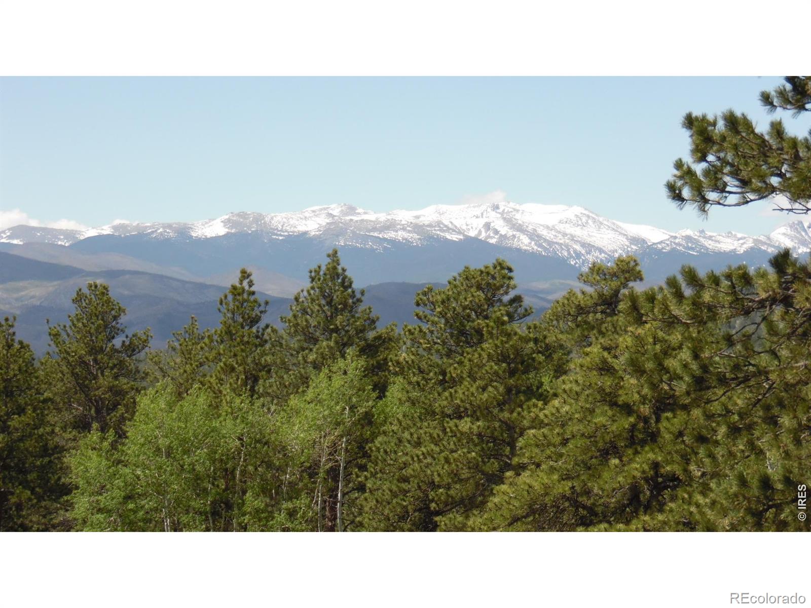 MLS Image #2 for 1502  bald mountain drive,livermore, Colorado