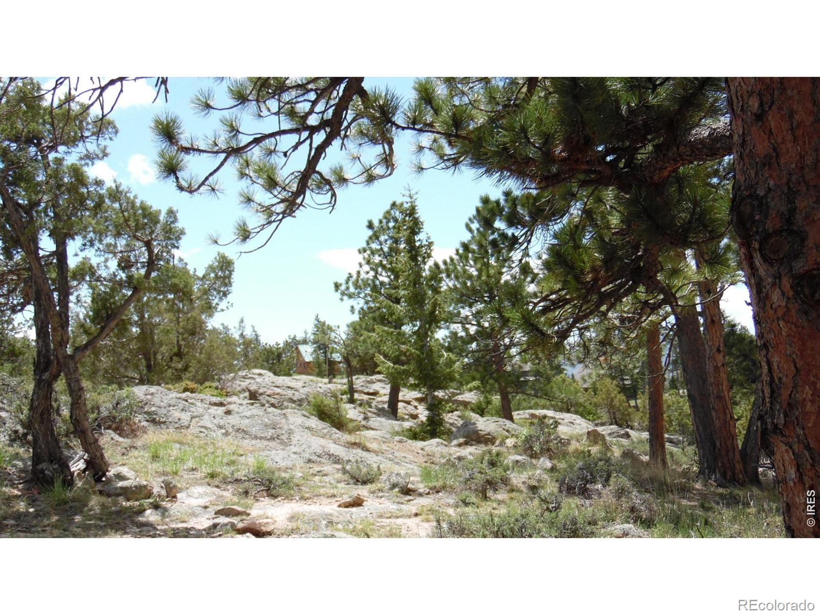 MLS Image #27 for 1502  bald mountain drive,livermore, Colorado