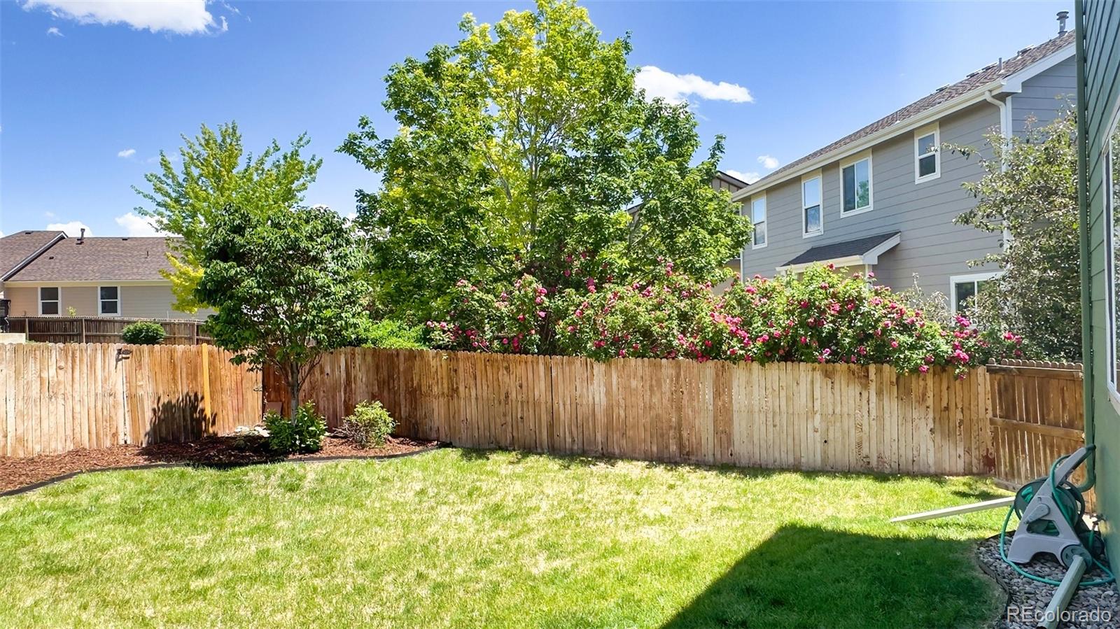 MLS Image #3 for 11303  newport street,thornton, Colorado